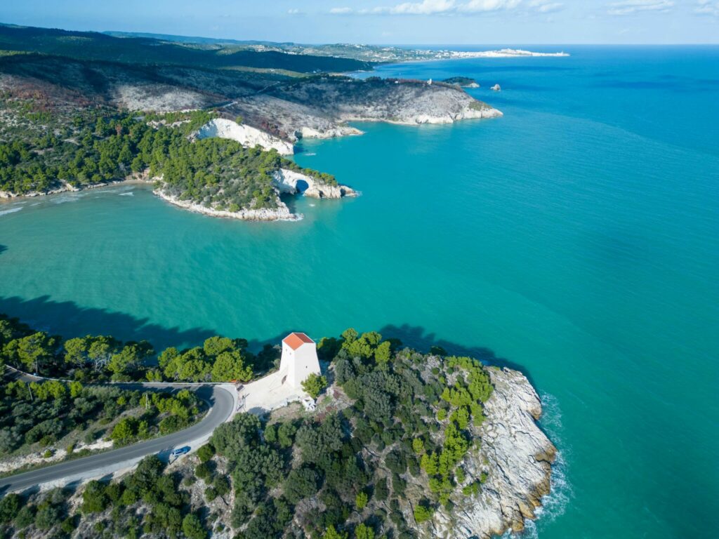 ECO-SEAROUTES