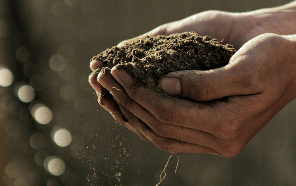 CARBON FARMING MED