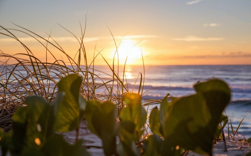 COASTRUST