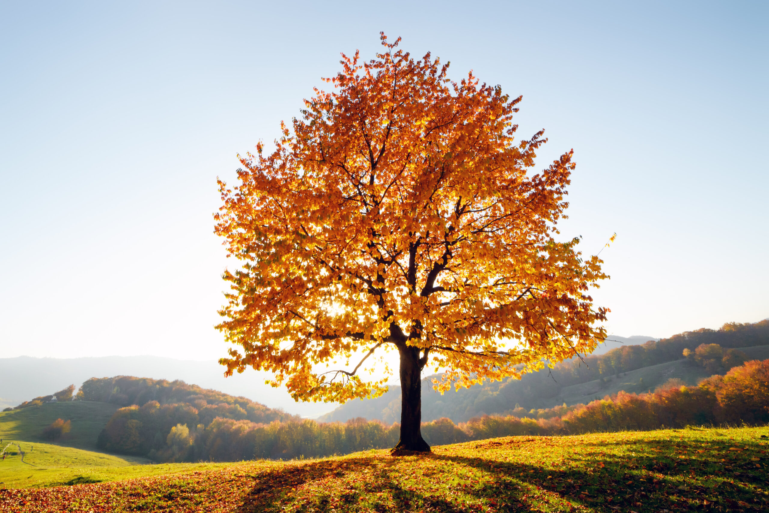 Kick-off event – Heading towards a greener Mediterranean