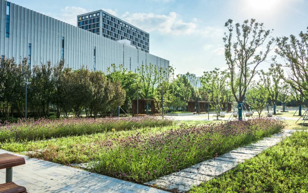 Dialogue4LivingAreas
